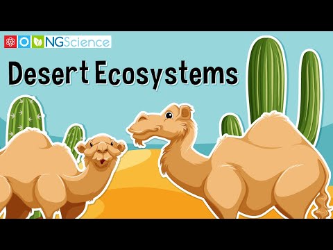 Desert Ecosystems