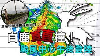 「白鹿」颱風快速直撲！估中心午後登陸