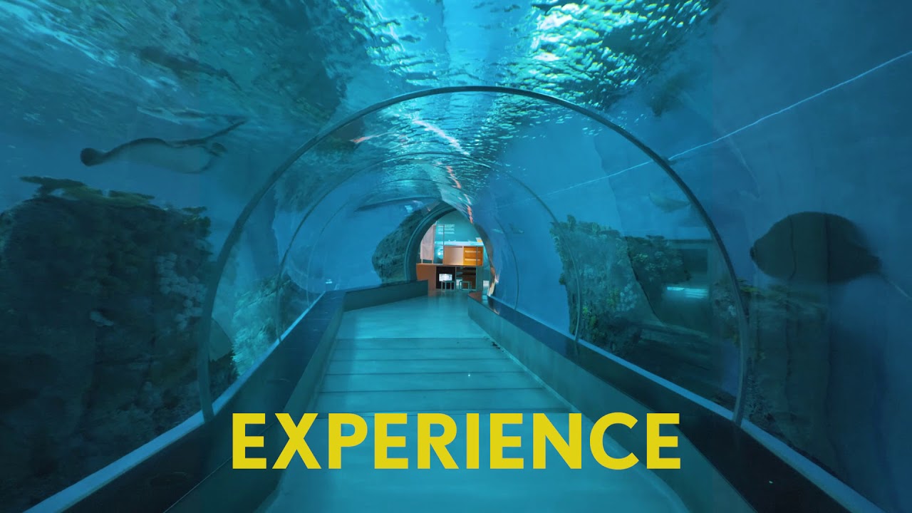 Bring your kids to Copenhagen