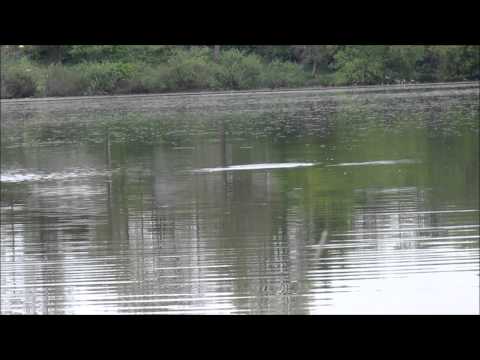 10.05.2014 Карпик 1