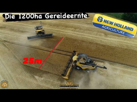NEW HOLLAND Maschinen im Einsatz 1200ha Getreide & 25m auf einem Schlag Gerste dreschen Mecklenburg