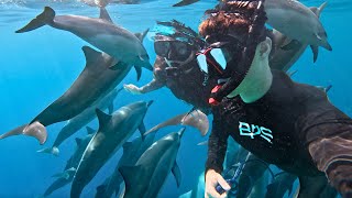 OH MY GOD! Surrounded by DOLPHINS in Hawaii!