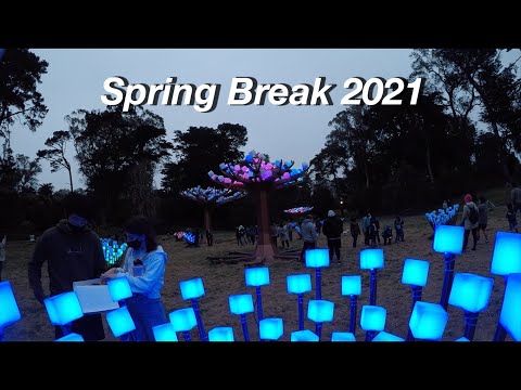 Uc Berkeley Spring Break 2021 Vlog 8