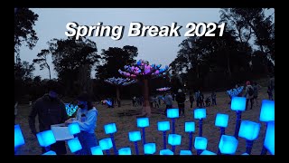 UC Berkeley Spring Break 2021 | Vlog 8