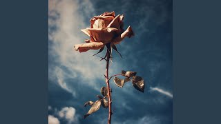 Download lagu 혜화 mp3 Download lagu 혜화 mp3