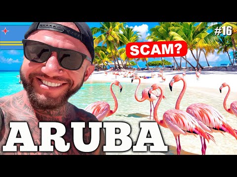 #16 ARUBA is the BIGGEST LIE of the Caribbean! 🦩 FLAMINGOS in Aruba are a SCAM?!