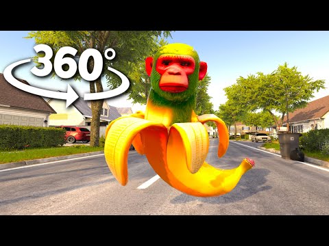 VR 360° Chimpanzini Bananini HUNTS YOU!