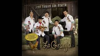 Los Tigres Del Norte - El Diputado