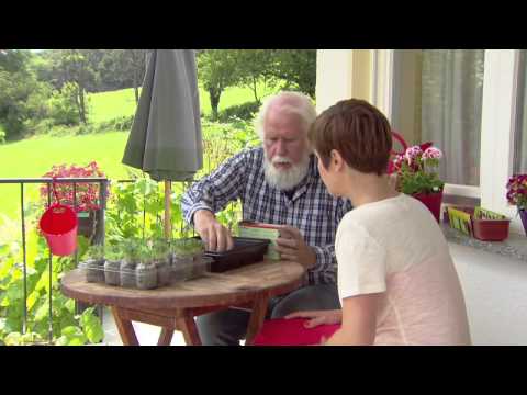 Mini Serra Con Coperchio E 12 Dischetti Di Torba Compressa