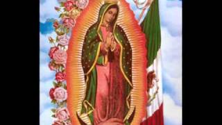 Rondalla Las Flores de la Laguna Mañanitas Guadalupanas