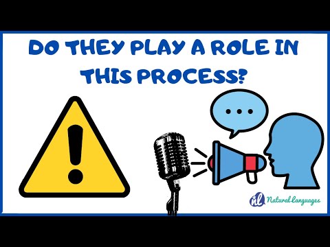 🤔 The Role of Errors in the LANGUAGE Learning Process❗ (Podcast #39) Background: Zaragoza