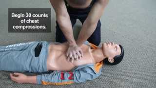 Download lagu Chest Compressions (CPR Steps) mp3 Download lagu Chest Compressions (CPR Steps) mp3