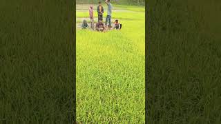 Download lagu Bangladesh mp3