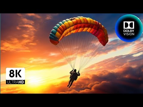 Dolby vision love to fly