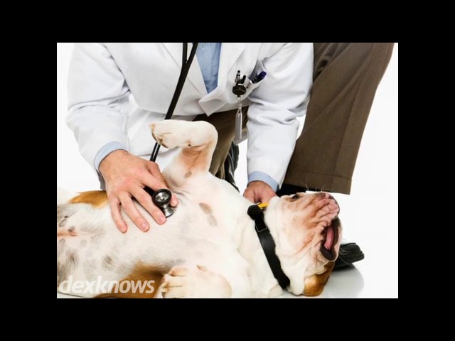 Syler Veterinary Clinic - Athens, TX