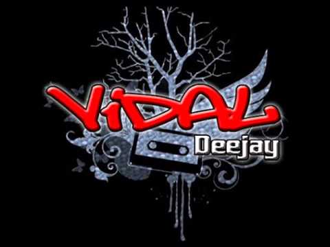 Clasicos Del Reggaeton Mix - DJ VIDAL
