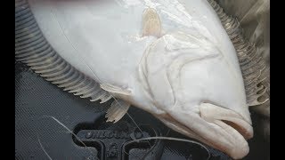 Flounder Fishing  in NYC Back Bay July 2017 ep. 57