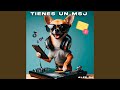 Tienes un Mensaje (Remix)