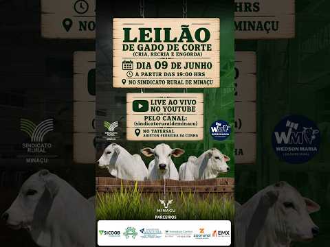 LEILÃO GADO DE CORTE - SINDICATO RURAL DE MINAÇU GO - 08/06/2026