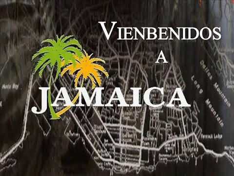 Bienvenidos A Jamaica - Hapleezu