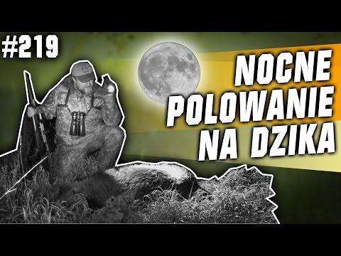 Darz Bór odc 219 - Nocne polowanie na dzika