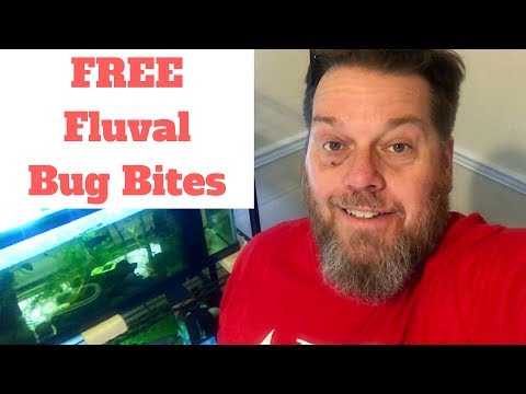 download lagu mp3 mp4 Free Fish Food Samples, download lagu Free Fish Food Samples gratis, unduh video klip Free Fish Food Samples