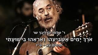 Shlomo Carlebach What The World Really Needs [1989] שלמה קרליבך (הזמר והיוצר בנימין שטיינברג) - התמונה מוצגת ישירות מתוך אתר האינטרנט יוטיוב. זכויות היוצרים בתמונה שייכות ליוצרה. קישור קרדיט למקור התוכן נמצא בתוך דף הסרטון