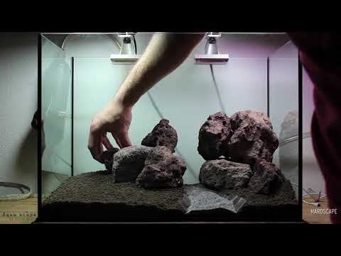 Watch Video on YouTube