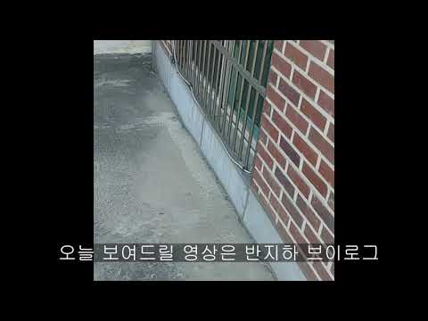 아이콘