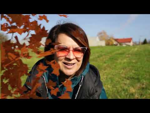 Srpski domaćin ep. 146 24.11.2022. Velika Moštanica, Dejan Tabaković, proizvodnja zelene salate