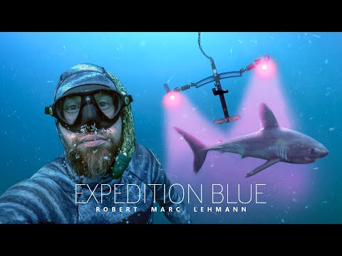 Seltene HAI-BEGEGNUNG, verschwundene Tiefseekameras & Periodenblut.. | Folge 02