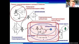 Верхоглазенко В.Н. Типы самоорганизации. Фрагмент обучающего вебинара.