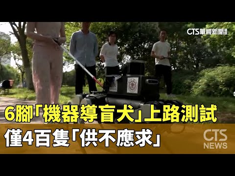 6隻腳「機器導盲犬」上路測試！　僅4百隻「供不應求」
