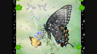 BOB LIND- "ELUSIVE BUTTERFLY"(VINYL + LYRICS)