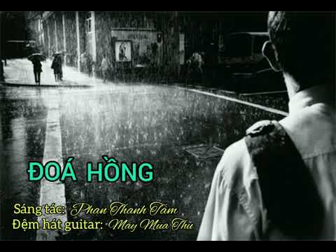 Đóa hồng Sheet - Mây Mùa Thu