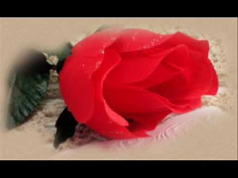 Sevilay Genç Offical .   ZALIM YILLAR