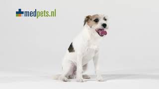 TVC Campagne met tag-ons - winterjas