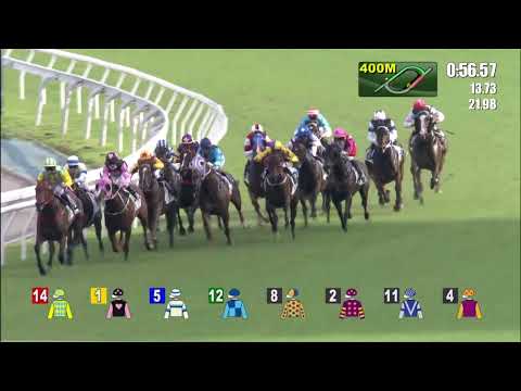 20/6/2021 (766) Hinchinlove - Matthew Chadwick