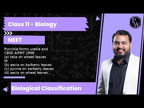 Puccinia forms uredia and CBSE AIPMT 1998 (a) telia on wheat leaves(b) aecia on barberry leaves (...