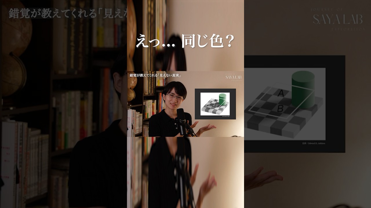 【心理実験】脳は“現実”を見ていない。錯覚が教える成功と幸福の真実 #心理学  #名言