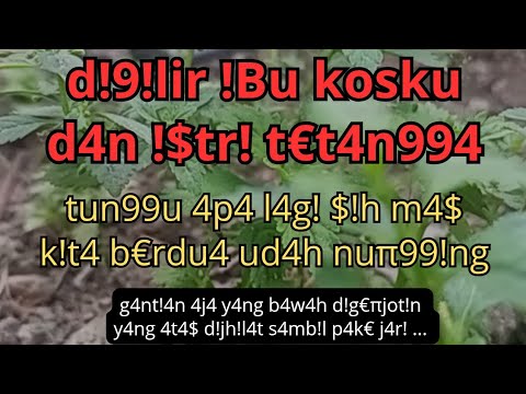 rahasia bahagia ibu kos dan istri tetangga #kisahnyata
