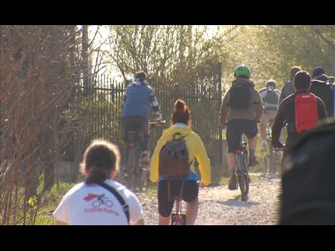 „Cros pentru Daia” şi „Bibliotecarul", două noi reportaje, la Dosar România