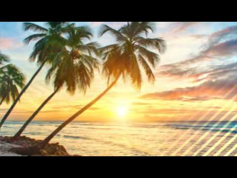 Feel it [Tropical House]