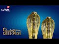 Naagin 4 Brinda And Vishaka Snake Fighting By Action King Tv Naagin Fanmade Video