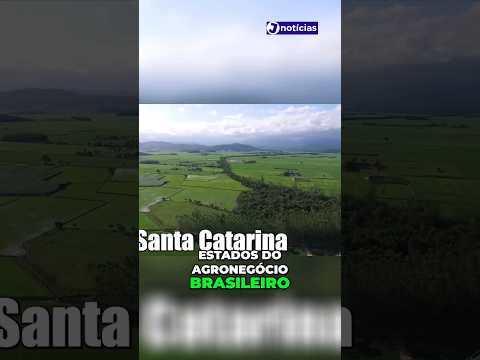 Santa Catarina é o oitavo lugar no Agronegócio Brasileiro