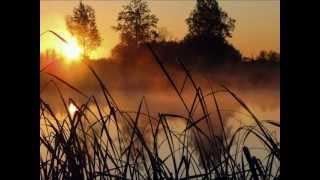 Red House Painters - Shock Me