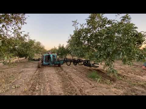 Spedo Fruipick ile Çift Yönlü Ceviz Silkeleme