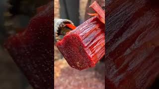 making jewels from red sandal wood 🤠😎