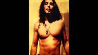 Chris Cornell - Climbing Up The Walls