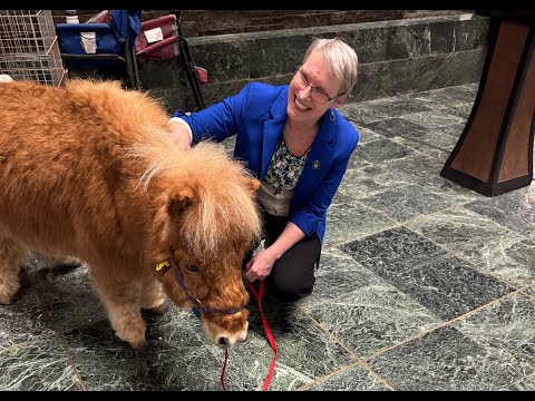 Welcome to the Rural Resources Annual Fair